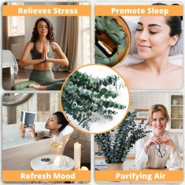 12 Pcs Dried Eucalyptus for Shower Hanging - 17\'\' Real Large Preserved Eucalyptus Stems Green Home Decor, 100% Made from Fresh Eucalyptus Leaves, Bathroom Shower Decor, Wedding, DIY 12 Pcs Dried Eucalyptus for Shower Hanging - 17\'\' Real Large Preserved Eucalyptus Stems Green Home Decor, 100% Made from Fresh Eucalyptus Leaves, Bathroom Shower Decor, Wedding, DIY