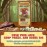 Prolific Games Flapjacks & Sasquatches Lumberjack Dice Game - Quick-Playing in a Zippered Travel Pouch - Great for Camping & Car Trips - Adults, Teens, and Kids - 2 to 6 Players - Ages 8+