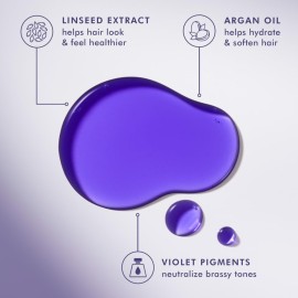 MOROCCANOIL Treatment Purple Hair Oil for Blonde Hair, 1.7 Fl. Oz. MOROCCANOIL Treatment Purple Hair Oil for Blonde Hair, 1.7 Fl. Oz.