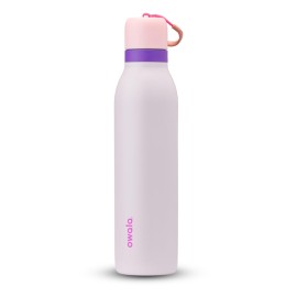 Owala FreeSip Twist Insulated Stainless Steel Water Bottle with Straw for Sports and Travel, BPA-Free, 24-oz, Pink/Purple (Dreamy Field)