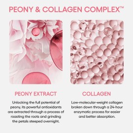 LANEIGE Bouncy and Firm Sleeping Mask: Revitalize, Smooth, Peony & Collagen Complex, Barrier-Boosting Hydration LANEIGE Bouncy and Firm Sleeping Mask: Revitalize, Smooth, Peony & Collagen Complex, Barrier-Boosting Hydration