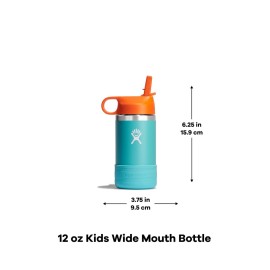 Hydro Flask 12 Oz Kids Wide Mouth Straw Cap and Boot Anemone