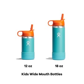 Hydro Flask 12 Oz Kids Wide Mouth Straw Cap and Boot Anemone
