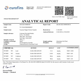 StayAlive Cayenne Pepper Capsules 960mg Super Extract with Ginger, Garlic, Turmeric, Beet Root, Black Pepper, 120 Cayenne Capsules, Support Cardiovascular & Immune System, Capsaicin Supplement Pills
