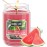 Candle-lite Scented Candles, Juicy Watermelon Slice, 18 oz Jar, Proudly Poured in The USA, Aromatherapy Candle, Single-Wick with 110 Hours of Burn Time, Perfect for Creating a Refreshing Ambiance