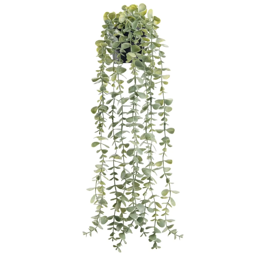 Der Rose 1Pcs Fake Plants Hanging Artificial Decor Faux Potted Eucalyptus Plants for Boho Bathroom Home Wall Shelf Bookcase Decor Indoor Der Rose 1Pcs Fake Plants Hanging Artificial Decor Faux Potted Eucalyptus Plants for Boho Bathroom Home Wall Shelf Bookcase Decor Indoor