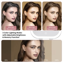 DESCHEN Rechargeable Travel Makeup Vanity Mirror with Lights and Magnification, Portable 1X/10X Magnifying Mirror with 3 Color Light, Lighted Makeup Mirror with Magnification, Folding LED Desk Mirror