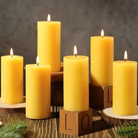 6 Pack Natural Beeswax Pillar Candles,100% Pure Beeswax Candles-210 Hours Long Burning,Organic Bees Wax Candles for Home,Paryer,Parties,Unscented Dripless Smokeless Beeswax Candle Bulk 2x4in 6 Pack Natural Beeswax Pillar Candles,100% Pure Beeswax Candles-210 Hours Long Burning,Organic Bees Wax Candles for Home,Paryer,Parties,Unscented Dripless Smokeless Beeswax Candle Bulk 2x4in