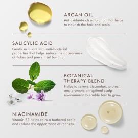 Moroccanoil Scalp Balancing Conditioner, 8.5 Fl. Oz. Moroccanoil Scalp Balancing Conditioner, 8.5 Fl. Oz.