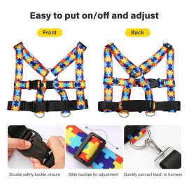 HOOMTREE Safety Harness Leash for Special Needs Child Aged 3-12 Years Fully Ajustable, Sturdy Walking Harness for Older Children with Grab Handle, Keeping Active ADHD/ASD Autism Kids Safe in Public HOOMTREE Safety Harness Leash for Special Needs Child Aged 3-12 Years Fully Ajustable, Sturdy Walking Harness for Older Children with Grab Handle, Keeping Active ADHD/ASD Autism Kids Safe in Public