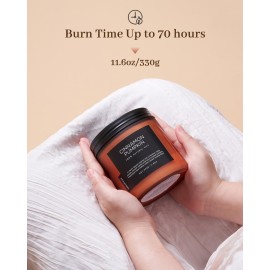 M&SENSE Cinnamon Pumpkin Fall Scented Candle, 11.6oz Natural Soy Wax Candles for Home Scented, 2 Wick Autumn Long Burning Candle, 70 Hours Burn Time, Jar Candle Gift for Men and Women M&SENSE Cinnamon Pumpkin Fall Scented Candle, 11.6oz Natural Soy Wax Candles for Home Scented, 2 Wick Autumn Long Burning Candle, 70 Hours Burn Time, Jar Candle Gift for Men and Women