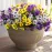 Rowfad 18 Bundles Artificial Fake Pansy Flowers for Outdoor, Faux UV Resistant Silk Pansies Flowers for Outside Planter Front Door Porch Yard Patio Window Box Home Decor (18, Purple, Yellow, White)