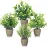 FAVOWREATH 4 Pack Fake Plants Ceramic Mini Artificial Greenery Potted Plants for Home Decor Office Decor Room Decor Farmhouse Decor Indoor Table Bathroom Decor
