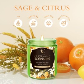 Jar Candles for Home Scented, Natural Soy Candles Non Toxic Ideal for Spa, Home Decor,Odor Eliminating Lemon-Lavender Scented, 7oz Aromatherapy Jar Candle for Mother\'s Day