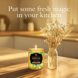 Jar Candles for Home Scented, Natural Soy Candles Non Toxic Ideal for Spa, Home Decor,Odor Eliminating Lemon-Lavender Scented, 7oz Aromatherapy Jar Candle for Mother\'s Day