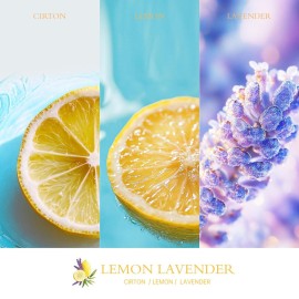 Jar Candles for Home Scented, Natural Soy Candles Non Toxic Ideal for Spa, Home Decor,Odor Eliminating Lemon-Lavender Scented, 7oz Aromatherapy Jar Candle for Mother\'s Day