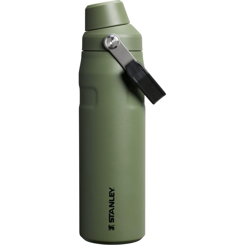 Stanley IceFlow Fast Flow Water Bottle 24 oz | Angled Spout Lid | Lightweight and Leakproof for Travel and Sports | Insulated Stainless Steel | BPA-Free | Dried Pine VRT