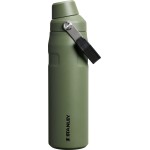 Stanley IceFlow Fast Flow Water Bottle 24 oz | Angled Spout Lid | Lightweight and Leakproof for Travel and Sports | Insulated Stainless Steel | BPA-Free | Dried Pine VRT
