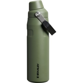 Stanley IceFlow Fast Flow Water Bottle 24 oz | Angled Spout Lid | Lightweight and Leakproof for Travel and Sports | Insulated Stainless Steel | BPA-Free | Dried Pine VRT