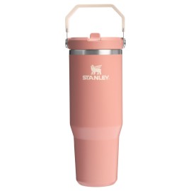 Stanley IceFlow 2.0 Flip Straw Tumbler with Handle 30 oz | Twist On Lid and Flip Up Straw | Leak Resistant Water Bottle | Insulated Stainless Steel | BPA-Free | Exclusive Sienna