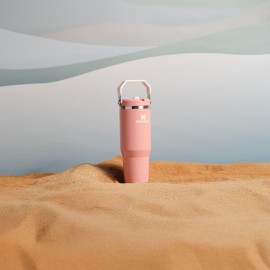 Stanley IceFlow 2.0 Flip Straw Tumbler with Handle 30 oz | Twist On Lid and Flip Up Straw | Leak Resistant Water Bottle | Insulated Stainless Steel | BPA-Free | Exclusive Sienna Stanley IceFlow 2.0 Flip Straw Tumbler with Handle 30 oz | Twist On Lid and Flip Up Straw | Leak Resistant Water Bottle | Insulated Stainless Steel | BPA-Free | Exclusive Sienna