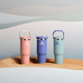 Stanley IceFlow 2.0 Flip Straw Tumbler with Handle 30 oz | Twist On Lid and Flip Up Straw | Leak Resistant Water Bottle | Insulated Stainless Steel | BPA-Free | Exclusive Sienna Stanley IceFlow 2.0 Flip Straw Tumbler with Handle 30 oz | Twist On Lid and Flip Up Straw | Leak Resistant Water Bottle | Insulated Stainless Steel | BPA-Free | Exclusive Sienna