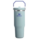 Stanley IceFlow 2.0 Flip Straw Tumbler with Handle 30 oz | Twist On Lid and Flip Up Straw | Leak Resistant Water Bottle | Insulated Stainless Steel | BPA-Free | Exclusive Blue Cactus