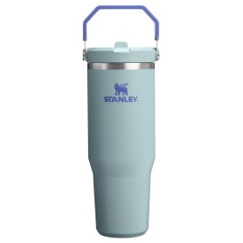 Stanley IceFlow 2.0 Flip Straw Tumbler with Handle 30 oz | Twist On Lid and Flip Up Straw | Leak Resistant Water Bottle | Insulated Stainless Steel | BPA-Free | Exclusive Blue Cactus