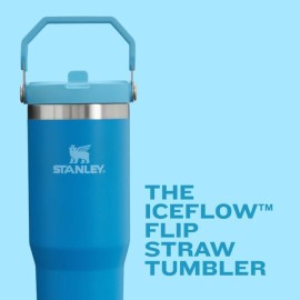 Stanley IceFlow 2.0 Flip Straw Tumbler with Handle 30 oz | Twist On Lid and Flip Up Straw | Leak Resistant Water Bottle | Insulated Stainless Steel | BPA-Free | Exclusive Blue Cactus Stanley IceFlow 2.0 Flip Straw Tumbler with Handle 30 oz | Twist On Lid and Flip Up Straw | Leak Resistant Water Bottle | Insulated Stainless Steel | BPA-Free | Exclusive Blue Cactus