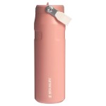 Stanley IceFlow Flip Straw 2.0 Water Bottle 24 oz | Built-In Straw for Travel and Sports | Lightweight and Leak Resistant | Insulated Stainless Steel | BPA-Free | Sienna