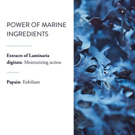 PHYTOMER Vegetal Exfoliant with Natural Enzyme Gentle Face Exfoliator | Cleanses, Eliminates Impurities, Refines Skin\'s Texture | Safe, Natural Ingredients | Sustainable & Eco-Friendly | 50ml PHYTOMER Vegetal Exfoliant with Natural Enzyme Gentle Face Exfoliator | Cleanses, Eliminates Impurities, Refines Skin\'s Texture | Safe, Natural Ingredients | Sustainable & Eco-Friendly | 50ml