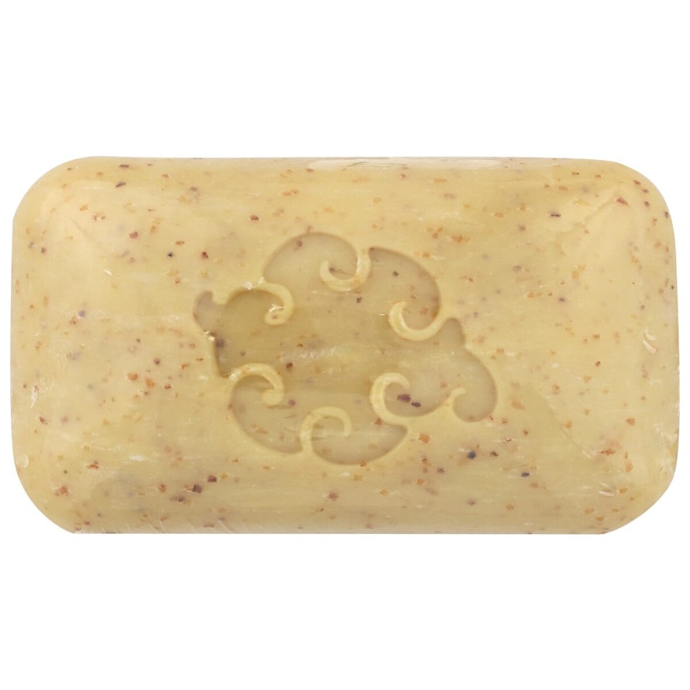 Baudelaire Essence Hand Soap Sea Loofah - 5 Oz
