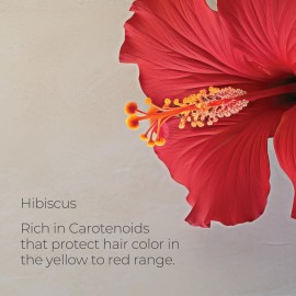 L\'ANZA Healing ColorCare Color-Preserving Conditioner, for Color-Treated Hair, Protects and Refreshes Hair Color while Healing, Sulfate-free Formula (8.5 Fl Oz) L\'ANZA Healing ColorCare Color-Preserving Conditioner, for Color-Treated Hair, Protects and Refreshes Hair Color while Healing, Sulfate-free Formula (8.5 Fl Oz)