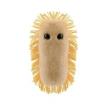 GIANTmicrobes Stomach Ache Plush - Learn About Microbes and Health, Fun Educational Gift for Family, Friends, Doctors, Nurses, Educators and Anyone with a Healthy Sense of Humor
