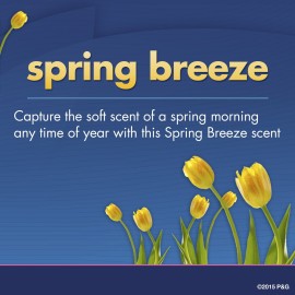 Secret Original Spring Breeze Scent Women\'s Invisible Solid Ph Balanced Antiperspirant & Deodorant 2.6 Oz (Pack of 6)