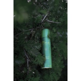 Pino Silvestre Deodorant Body Spray - Cologne For Men That Restores Your Original, Natural Skin - Men\'s Sweet Long Lasting Sandalwood And Musk Eau De Toilette Spice Fragrance Mist - 6.7 Oz Pino Silvestre Deodorant Body Spray - Cologne For Men That Restores Your Original, Natural Skin - Men\'s Sweet Long Lasting Sandalwood And Musk Eau De Toilette Spice Fragrance Mist - 6.7 Oz