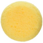Graftobian Loftus International Make-Up Sponge