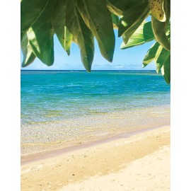 Island Soap and Candle Works Botanical Coconut Scented Body Lotion for Men and Women - Paraben Free Body Moisturizer - Hydrating Hawaiian Skincare - Creamy Coconut - 8.5 Fl Oz. Bottle Island Soap and Candle Works Botanical Coconut Scented Body Lotion for Men and Women - Paraben Free Body Moisturizer - Hydrating Hawaiian Skincare - Creamy Coconut - 8.5 Fl Oz. Bottle