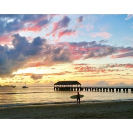 Island Soap and Candle Works Pineapple Scented Body Lotion for Men and Women, Paraben Free Body Moisturizer - Hydrating Hawaiian Skincare - Pineapple Passion Fruit - 2 Fl Oz Travel Size Bottle Island Soap and Candle Works Pineapple Scented Body Lotion for Men and Women, Paraben Free Body Moisturizer - Hydrating Hawaiian Skincare - Pineapple Passion Fruit - 2 Fl Oz Travel Size Bottle