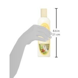 Island Soap & Candle Works Shampoo, 12 Ounce Island Soap & Candle Works Shampoo, 12 Ounce