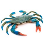 Crab Bath Toy - Realistic Blue Crab Toy 6.6 x 5.3 Inches, Durable and Lightweight, Colorful and Long-Lasting, Good for Tiki Bar Decoration, Aquarium, and as a Gift for Animal Figure Lovers