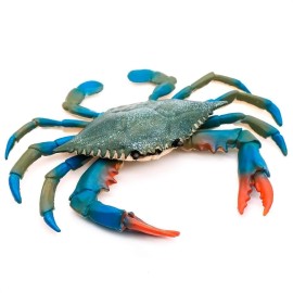 Crab Bath Toy - Realistic Blue Crab Toy 6.6 x 5.3 Inches, Durable and Lightweight, Colorful and Long-Lasting, Good for Tiki Bar Decoration, Aquarium, and as a Gift for Animal Figure Lovers