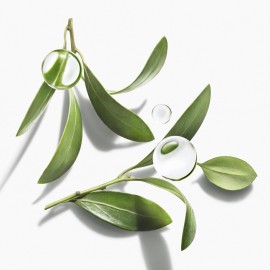 Josie Maran Pure Argan Oil - Hydrating Argan Oil for Hair, Skin & Nails - Everyday Oil Made With Vitamin E + Essential Fatty Acids for Dry Skin - Improves Elasticity & Smoothes Fine Lines (1.7 oz) Josie Maran Pure Argan Oil - Hydrating Argan Oil for Hair, Skin & Nails - Everyday Oil Made With Vitamin E + Essential Fatty Acids for Dry Skin - Improves Elasticity & Smoothes Fine Lines (1.7 oz)