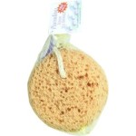 Evriholder Paradiso Foam Sea Sponge with Suction Cup