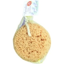 Evriholder Paradiso Foam Sea Sponge with Suction Cup