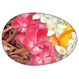 Caress Moisturizing Beauty Bar, Daily Silk, 4 Ounce (Pack of 8)