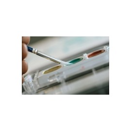 Prang 80519 Semi-Moist Watercolors, 8 Assorted Colors, 36/Set