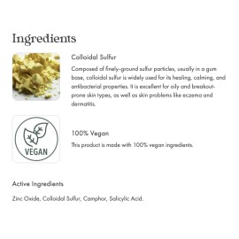 emerginC Blemish Control - Tinted Drying Spot Treatment with Salicylic Acid + Colloidal Sulfur to Improve the Appearance of Active Breakouts + Address Impurities (0.67 Ounce, 20 ml)