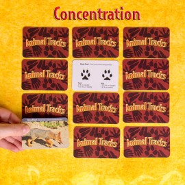 The Young Scientists Club Animal Tracks Game