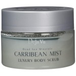 Deja Vu Salt Scrub (Carribean Mist)